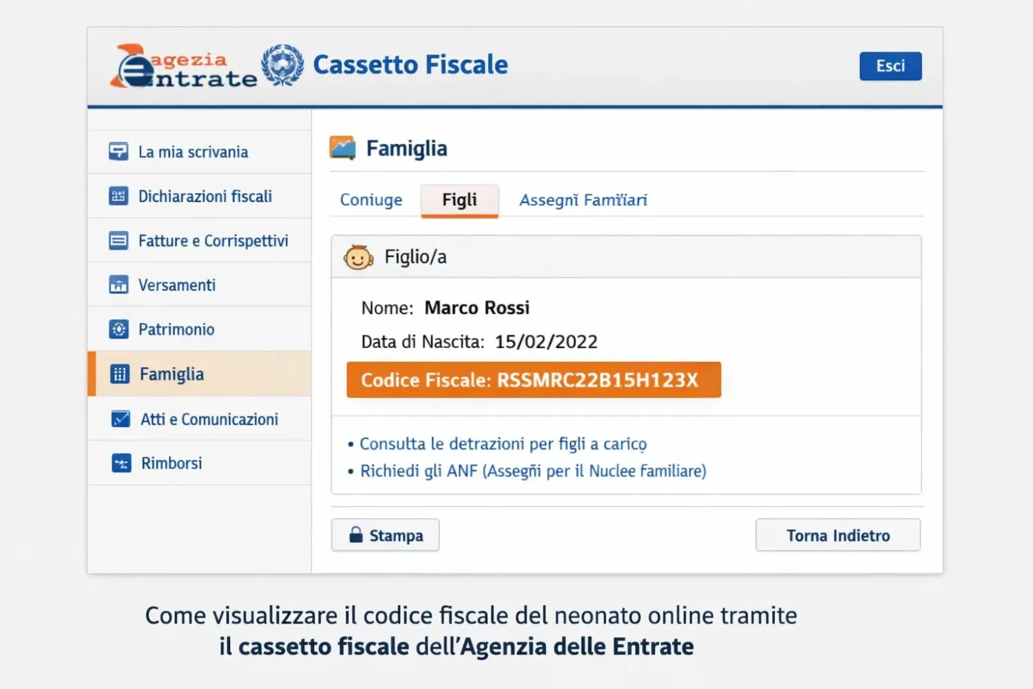 Come visualizzare il codice fiscale del neonato online tramite il cassetto fiscale dell'Agenzia delle Entrate
