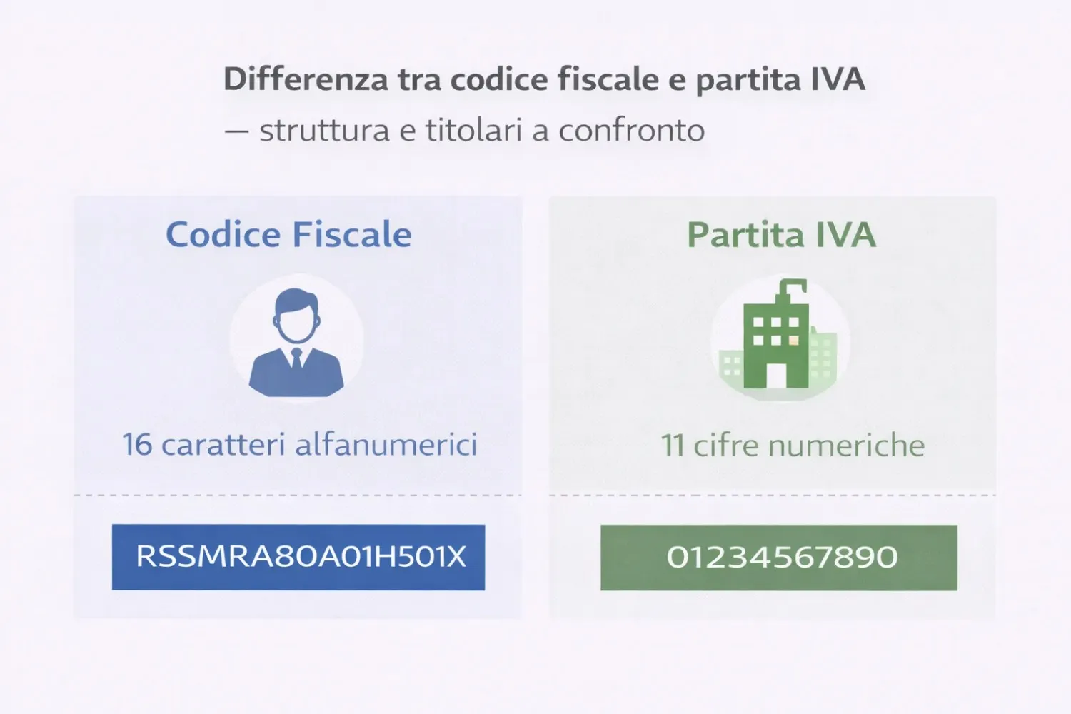Differenza tra codice fiscale e partita IVA struttura e titolari a confronto'